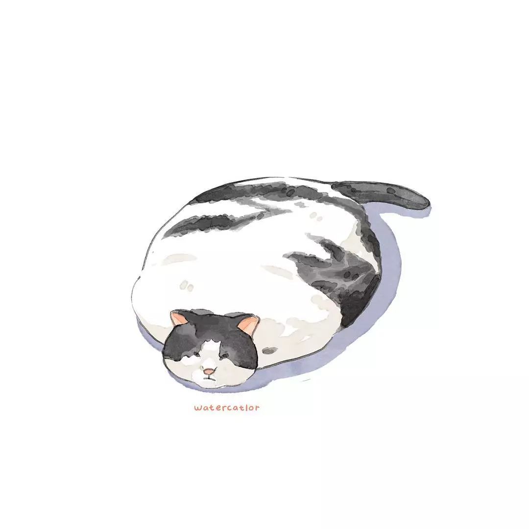 猫是液体的证据找到了吗,猫难道真的是液体吗