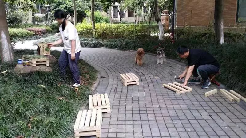 李妍现在怎么样了,李妍是一个怎么样的人