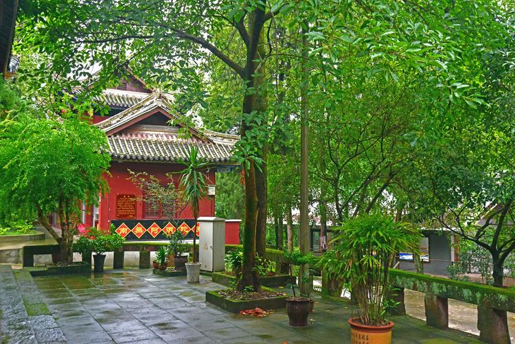 涔愯嚦鑽疯姳鎽勫奖浣滃搧娆ｈ祻,涔愯嚦鍗拌薄鎽勫奖