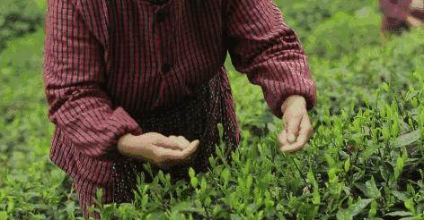 迟到的品质,迟到是一种境界