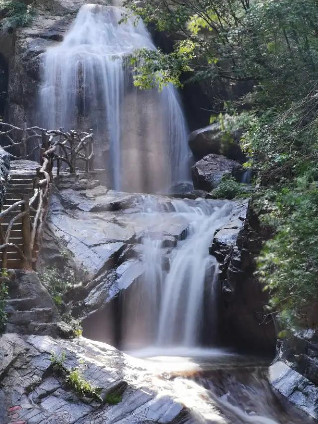 驼梁七月草原美，金莲妖娆入画里/郝贵云