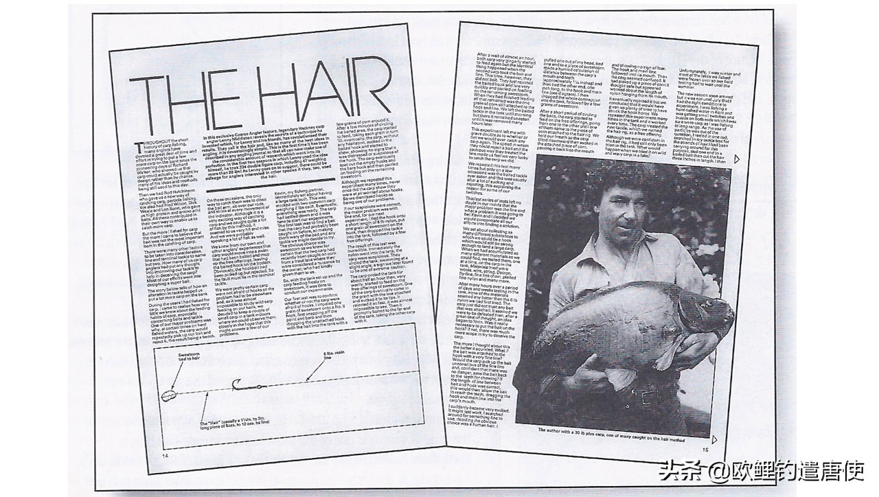 有哪些基础钓法初学者要学会,新手最稳妥的一种钓法