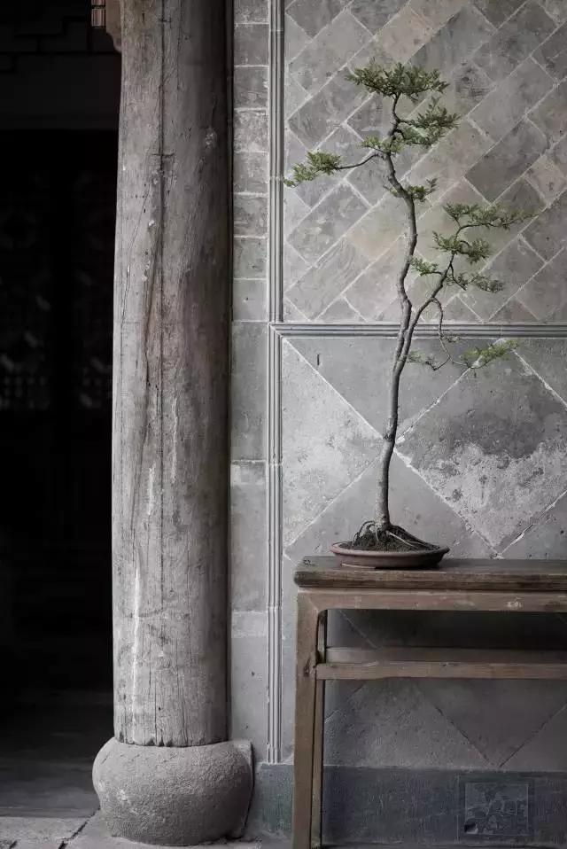 历史遗忘的老家具,历史的温度值得购买吗