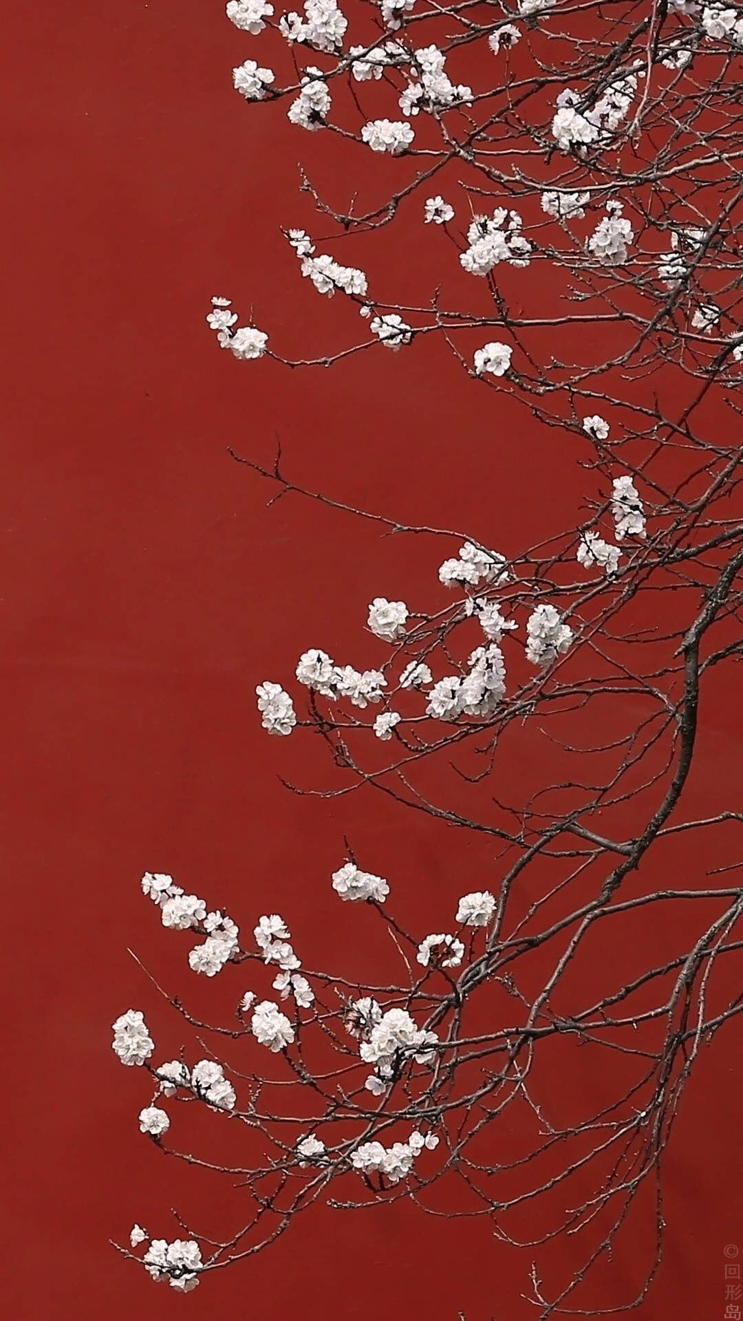 高清唯美的古风壁纸,令人伤感的古风壁纸