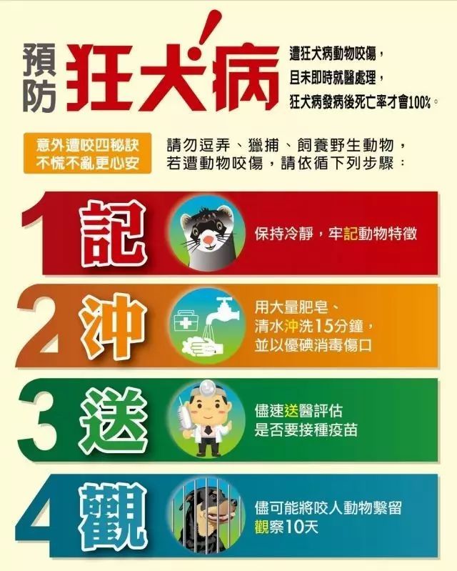 遇到恶狗攻击人如何自救,恶狗攻击人