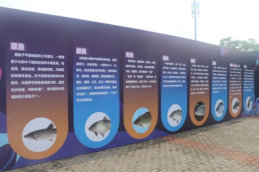 畅玩抚州嘉年华,畅玩海上嘉年华