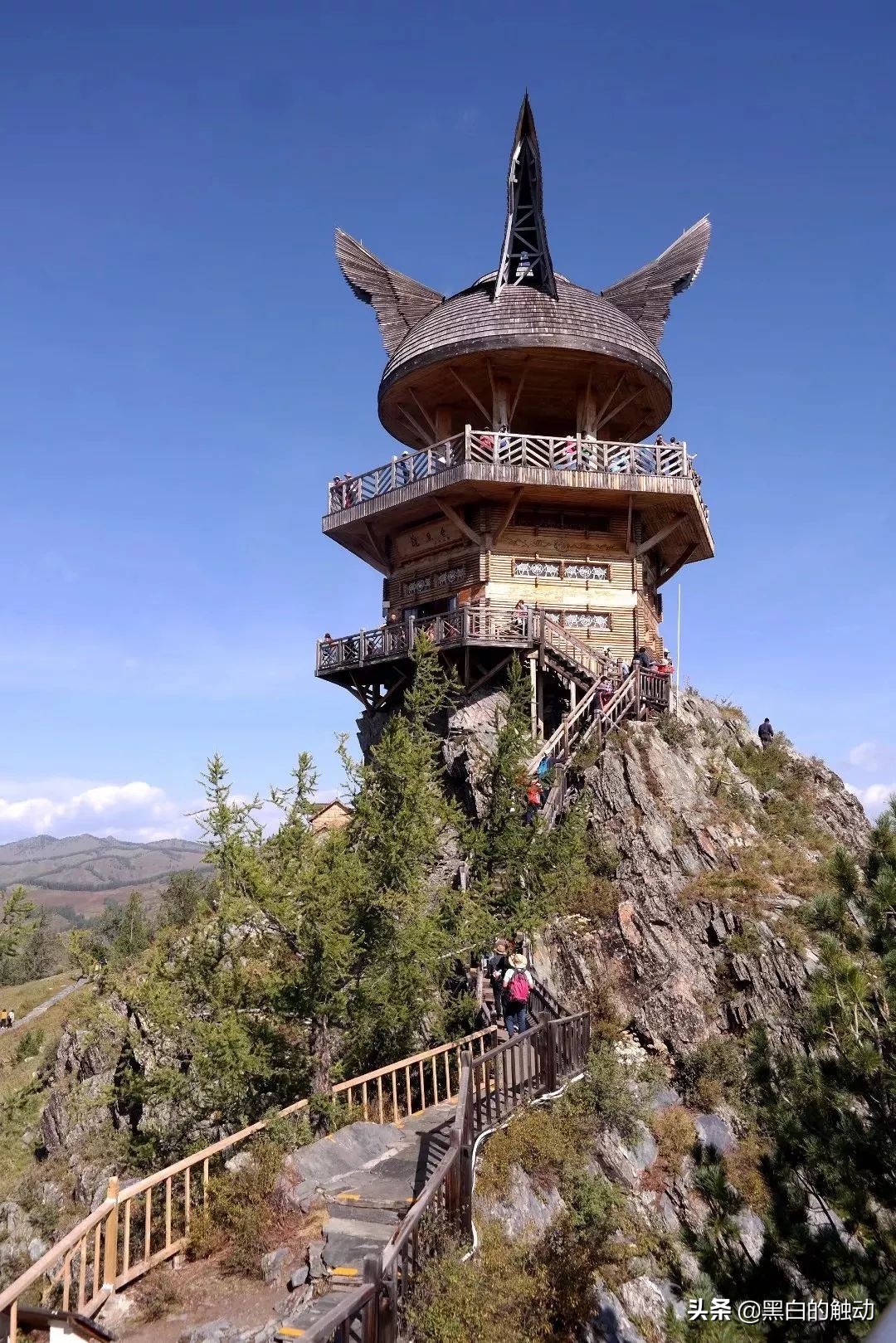 都说新疆好去新疆发展可靠么,都说新疆好地方