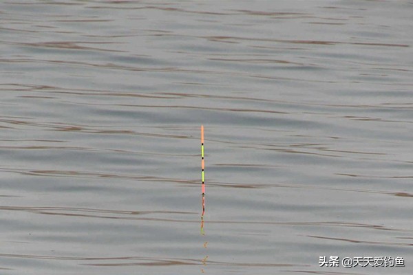 窝点有鱼不吃钩怎么办,钓鲤鱼守多久不咬钩换地方