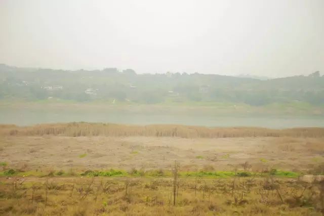重庆旅游小岛,重庆小岛景区