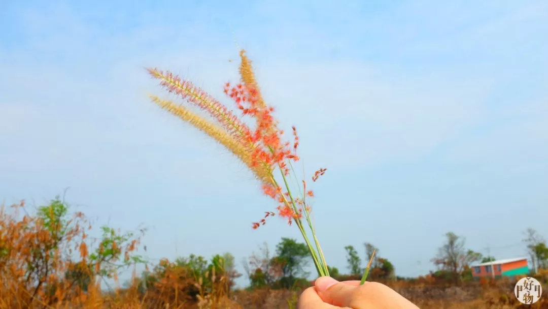 免签去泰国买单程机票可以吗,泰国旅游自费