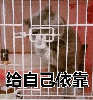 别争了，四川人内定了2021这个第一！