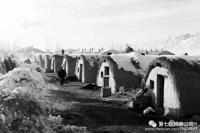 建设兵团1974年老照片,生产建设兵团老照片