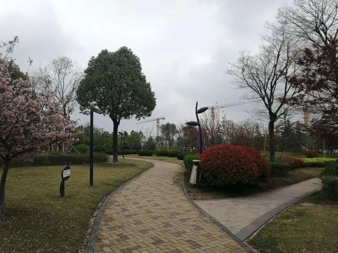 中川万达徐州,徐州中川万达进展