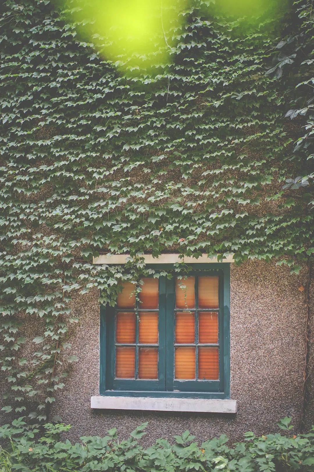 上海国庆免费景点推荐,上海值得去的免费景点旅游攻略