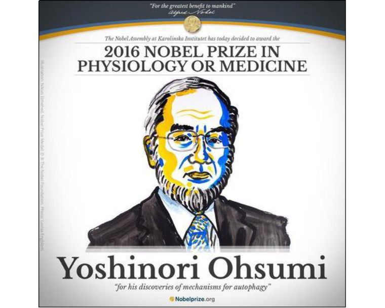 我们人体排毒系统有多强,细胞自噬对身体不好