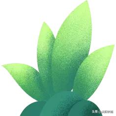 辽宁草原旅游专列,辽宁火车专列去草原