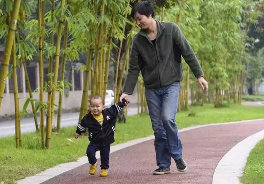 成华区新建湿地公园有哪些,成华公园还在吗