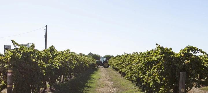 澳大利亚葡萄酒制造商,澳大利亚最好的葡萄酒生产商