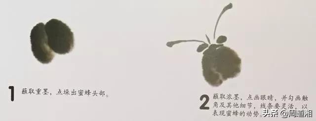 小蜜蜂怎么画最简单的方法,画小蜜蜂的教程一步一步的来