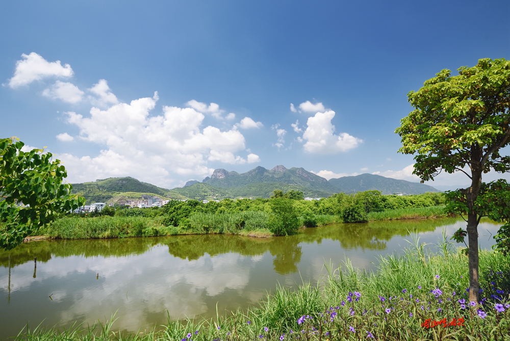 摄影就是记录流逝的时光,摄影捕捉生活的美好瞬间