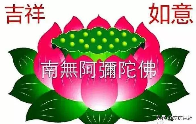 周一早上好最漂亮的早安问候语,最新早上好问候语温馨短句图片