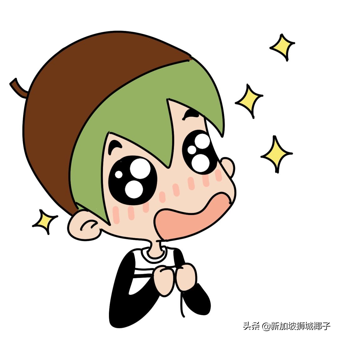 新加坡本土品牌有哪些,原来这些都是洋品牌