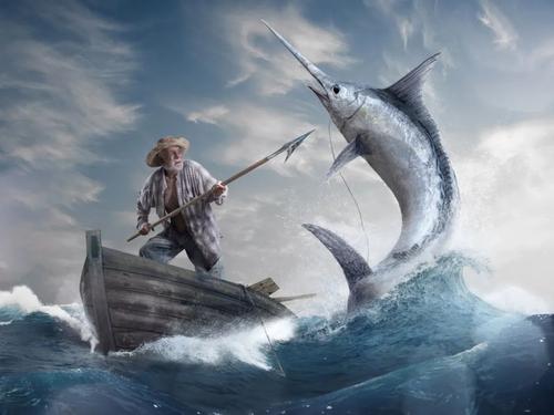 旗鱼小时候和长大后对比,成年旗鱼