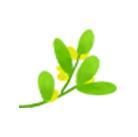 一位客家妈妈用艾草煮水给儿子洗澡,结果万万没想到...