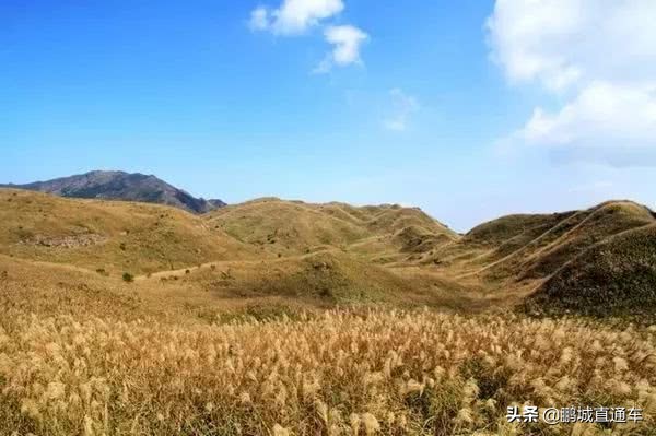 深圳周边适合10-15人玩乐的地方,深圳周边两天一夜的旅游地方推荐