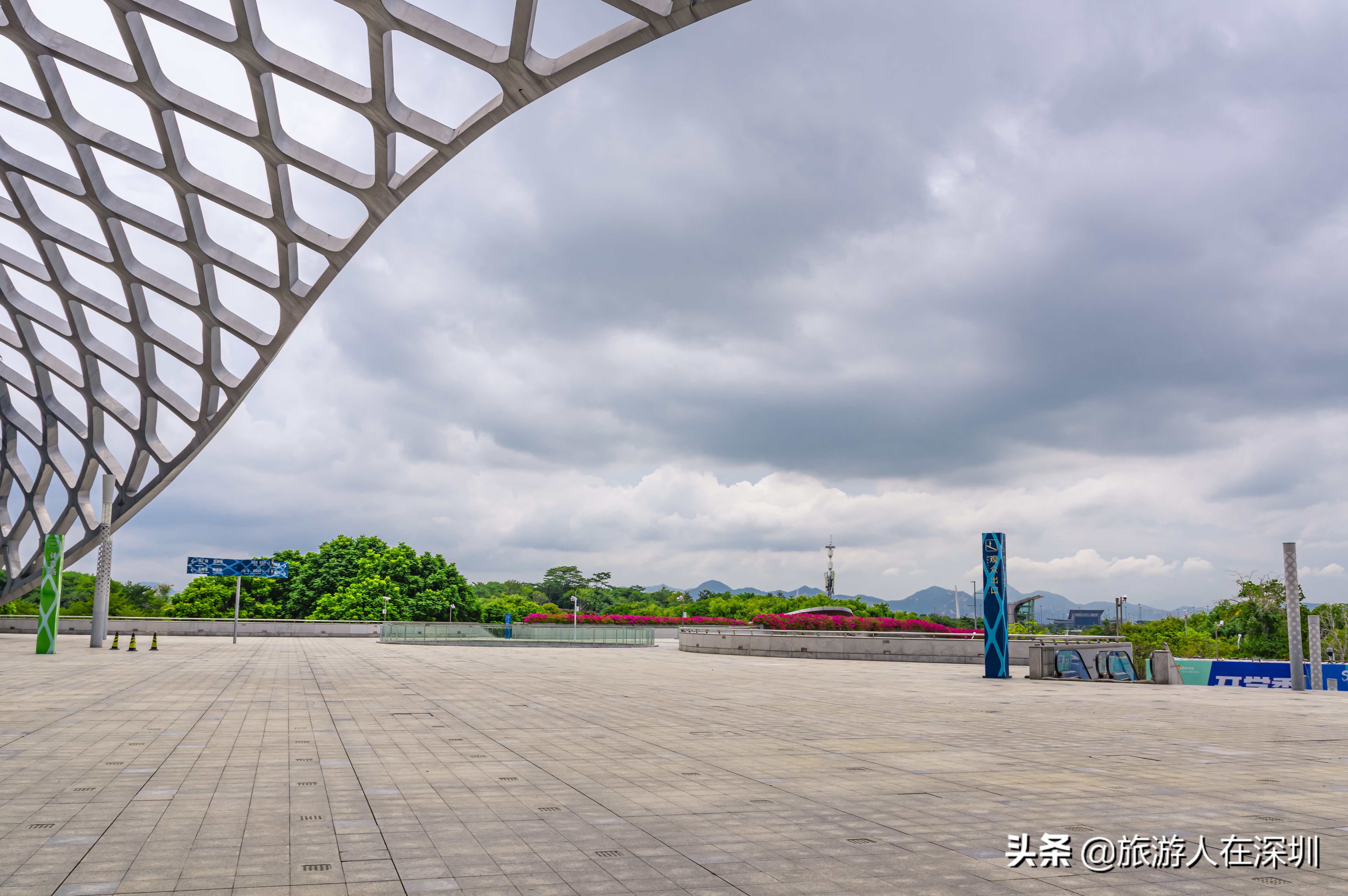 鸟巢体育场建筑特点,深圳湾体育中心像什么