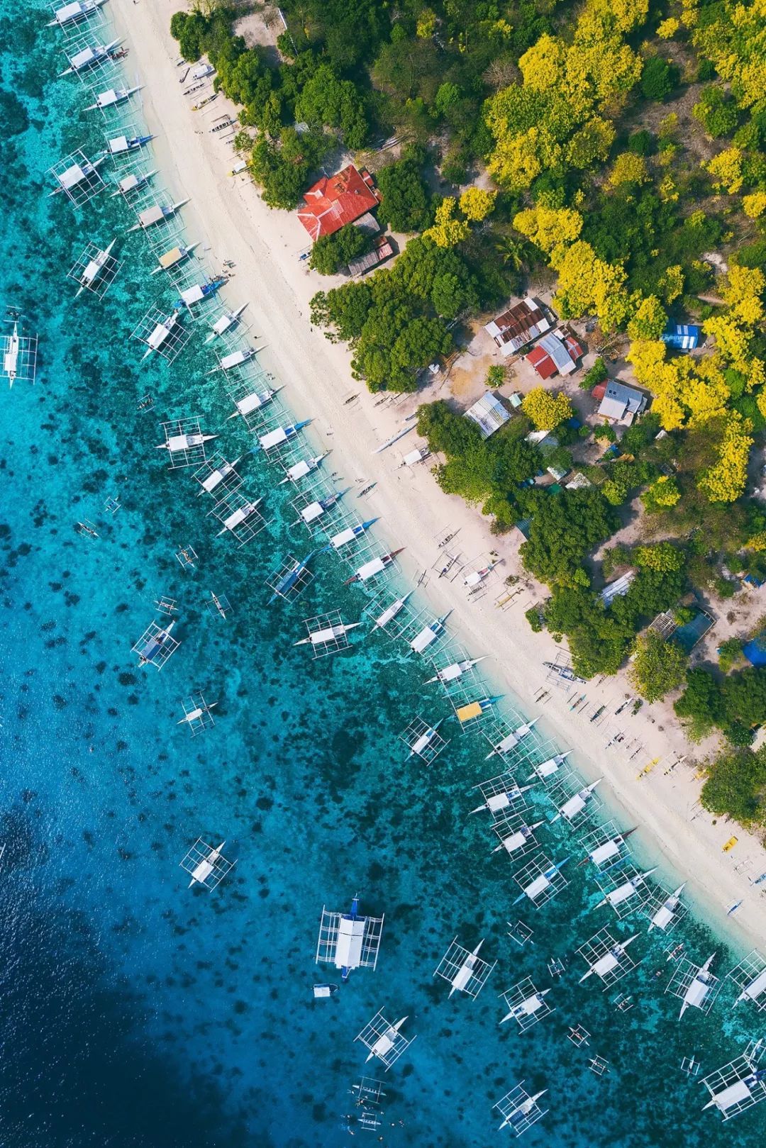 菲律宾的主岛,菲律宾岛屿旅游