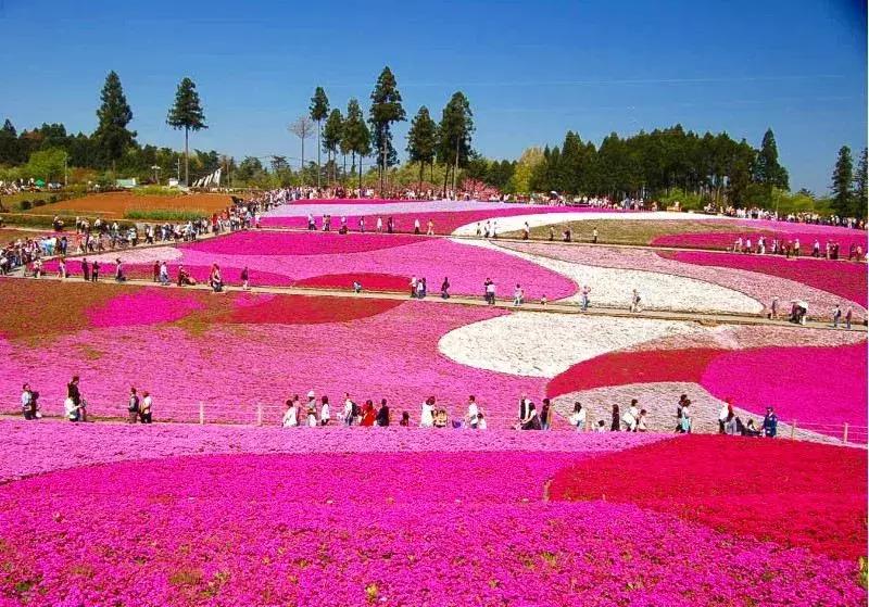 日本美景8k超高清,日本自然人文美景