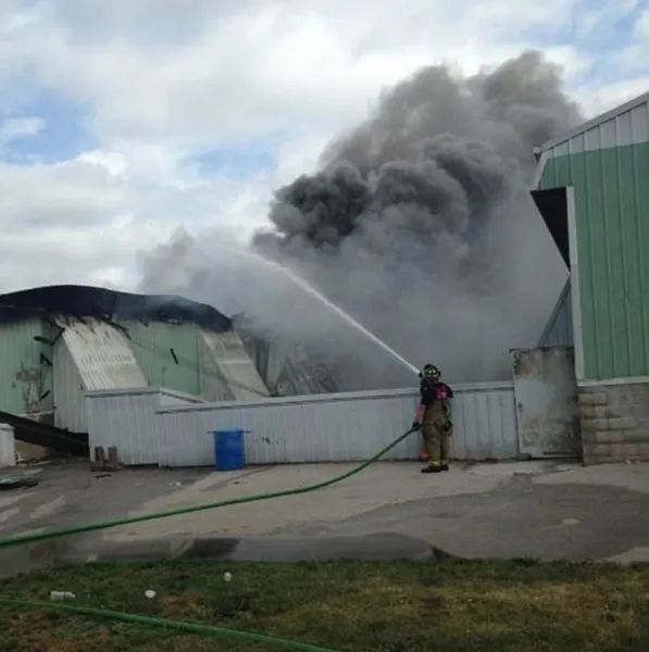 一养鸡场60万只鸡被淹死,养鸡场7000只活鸡暴死