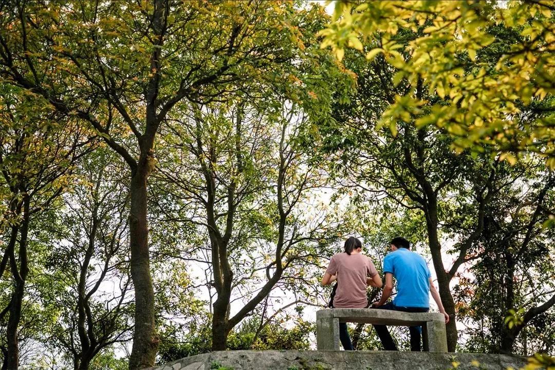 6号线都有什么景点,六号线能去的免费景点