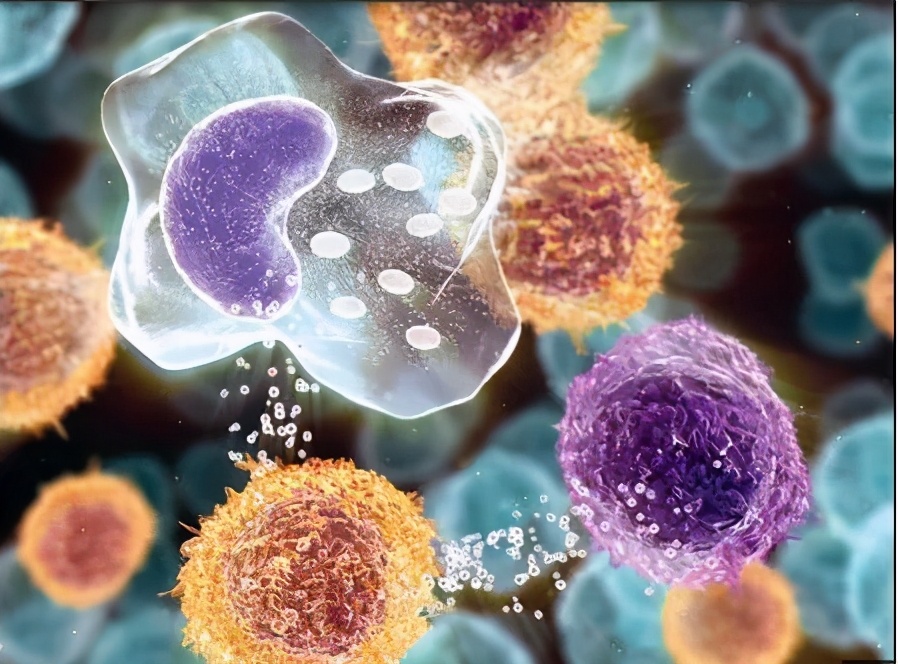 炎症生百病，谁才是它的克星？生酮饮食可以减少身体炎症