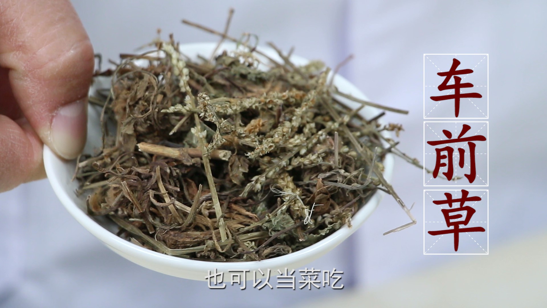 肾有什么问题容易得痛风,肾出问题导致痛风