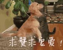 范冰冰穿恨天高跷二郎腿 (范冰冰穿黑色披风踩恨天高)