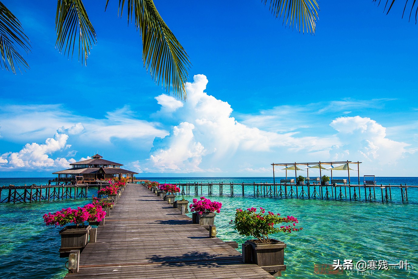沙巴亚庇海鲜夜市,去马来西亚哪里海鲜最便宜