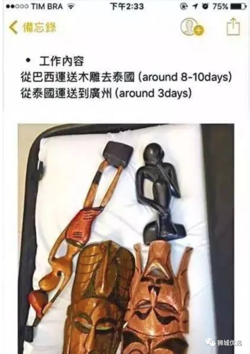 国外旅游回来什么不能带,去国外旅游不要和陌生人说话