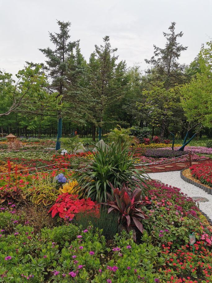 百花园里花里花争艳,百花园里百花香