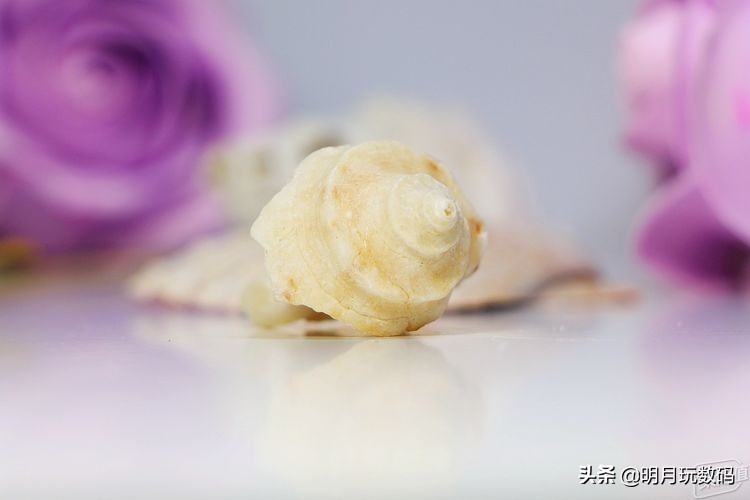 UV镜头保护镜,uv镜头和保护镜哪个好