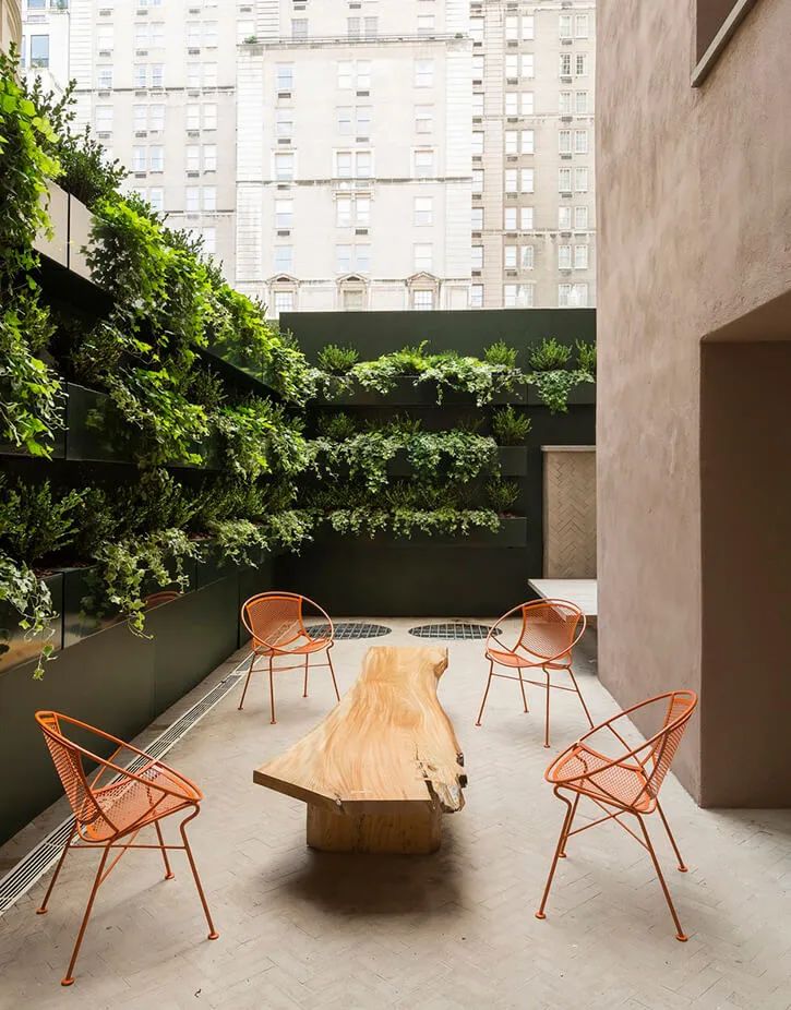 简单实用的家庭花园,20平方小花园