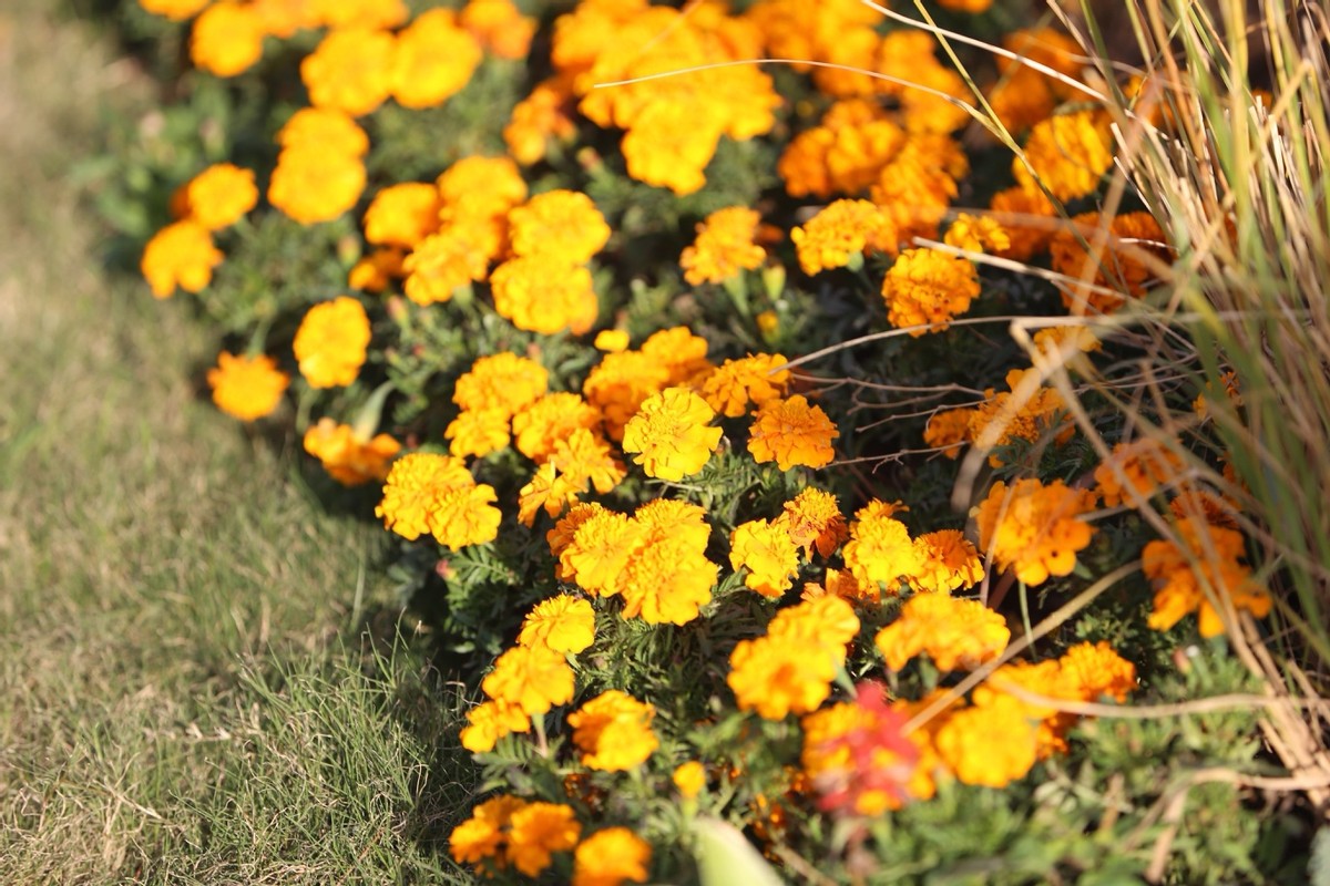 十二星座怎么评价自己,十二星座在别人眼里的看法列表