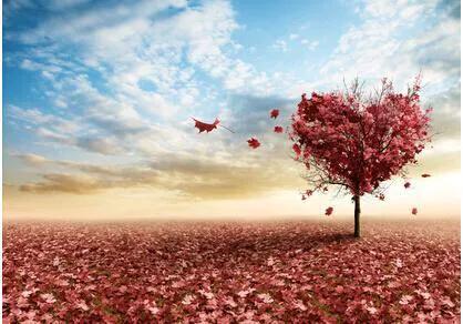 爱情需要精心经营吗,爱情是需要用心去经营