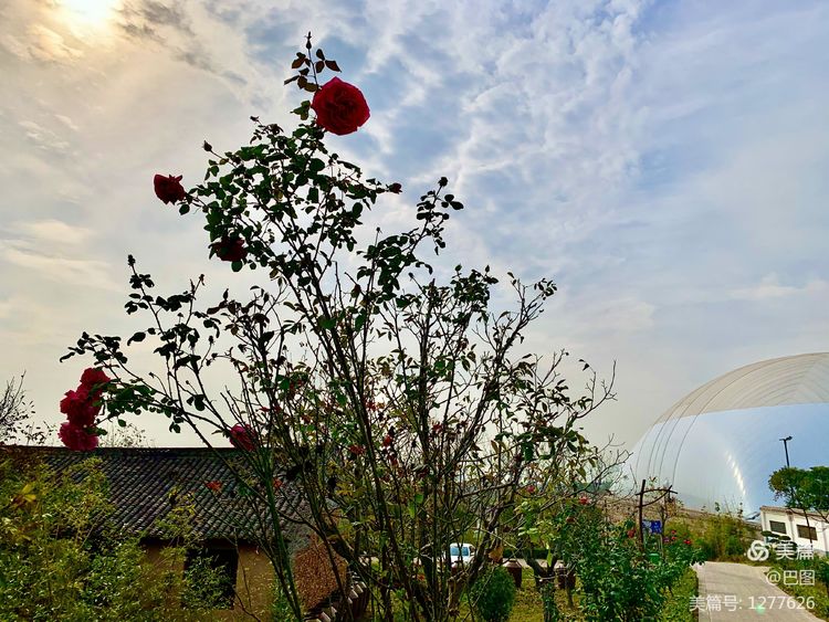 洛阳市宜阳凤凰岭射箭,宜阳县凤凰岭体育基地