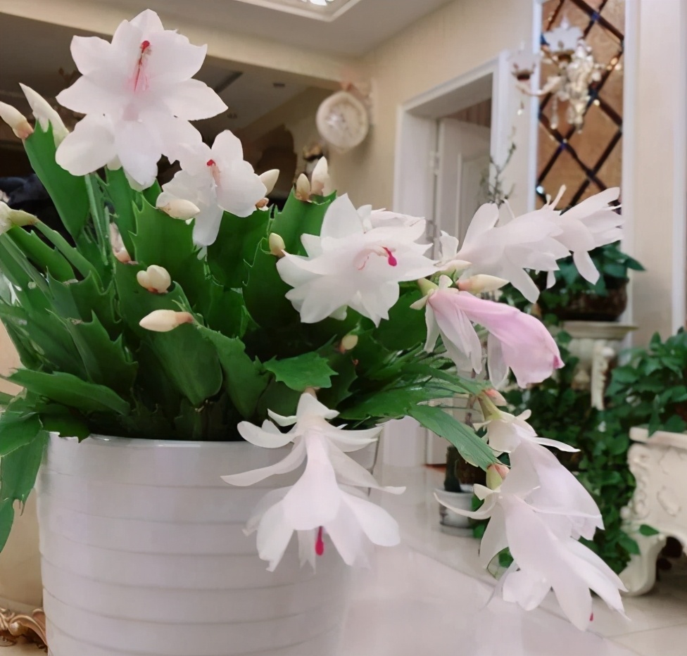 现在网上卖假花有市场吗,怎样卖假花卖得快