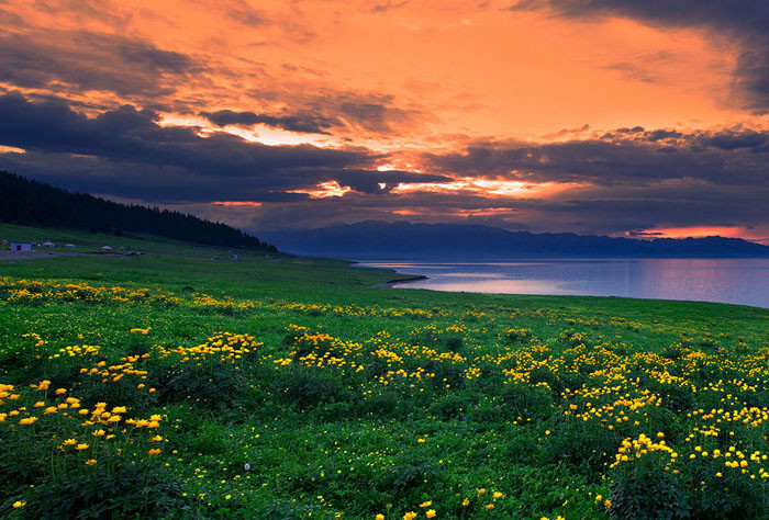 新疆的七八月份,七八月份新疆适合去哪