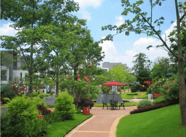 小池带大家去哪里玩,小池玩的地方