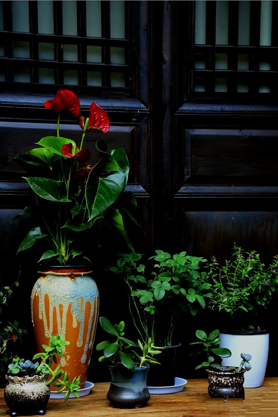 八年级英语常考词汇,英语完形常考单词