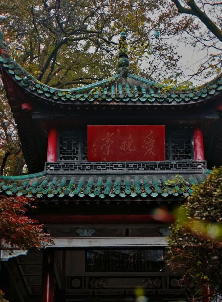 在别的城市上大学真的好吗,去哪个城市上大学最舒服